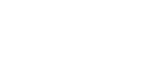 Logo Orthogeriatric Research Center Bern